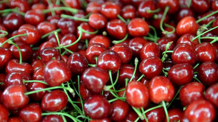 Bebeklere Kiraz Ne Zaman Verilir?