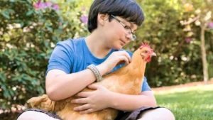 Bebeklere Tavuk Verirken Dikkat Edilmesi Gerekenler